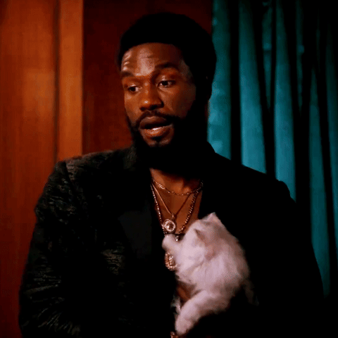 Cat GIF