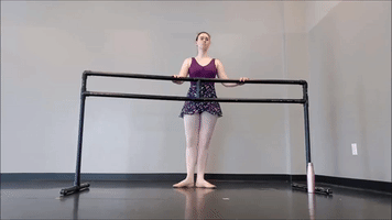 Dance Ballet GIF