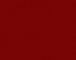 MacerataOggi GIF