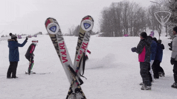 Alpine Skiing Snow GIF by All-Round Champion