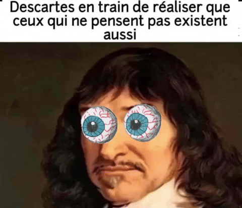 Descartes meme gif