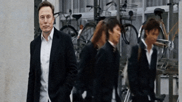 Doge and DogeGF | Shiba Drift