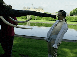 Kirsten Dunst Film GIF by MUBI