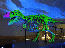 T Rex Dinosaur GIF by Field Museum