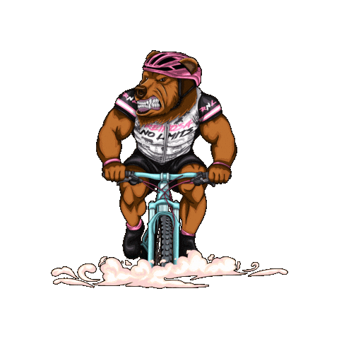 No Limits Team Sticker by ReinosaNoLimits