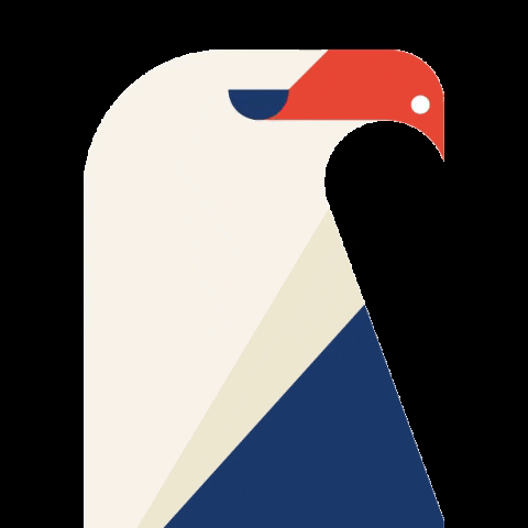 American Eagle Bird GIF by Living Facts