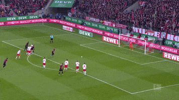 Save Timo Horn GIF by 1. FC Köln