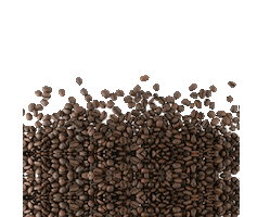 Skin Care Coffee Sticker by Apraise