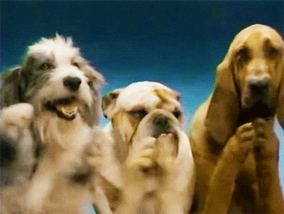 Well Done Applause GIF by MOODMAN - Find & Share on GIPHY