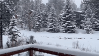 Snow Blankets Northern Colorado as Winter Weather Impacts Travel