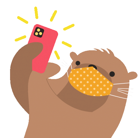 innisfree Singapore Sticker