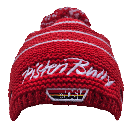 DSV - Deutscher Skiverband Sticker