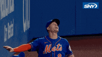 Brandon Nimmo New York Mets GIF - Brandon Nimmo New York Mets LFGM