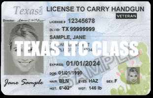 Texas Gun License GIF