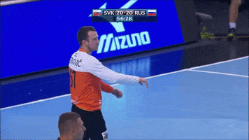 slovakhandball GIF
