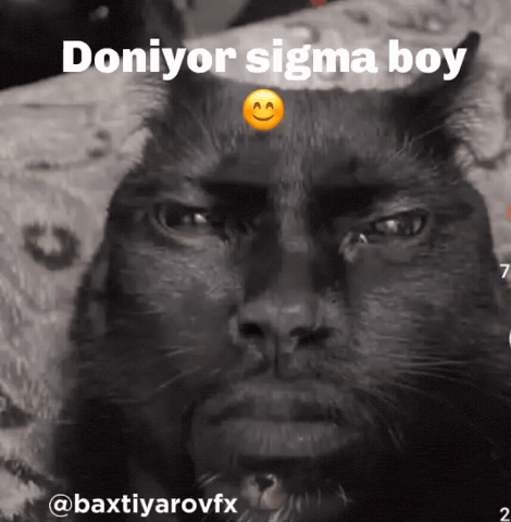 Sigma GIF