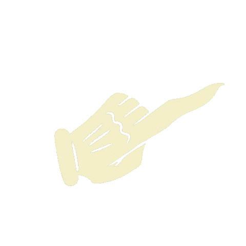 No Sticker