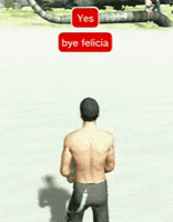 playstation 3 bye felicia GIF