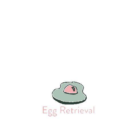 Infertility Egg Donation Sticker by Her Helping Habit