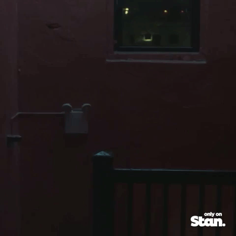 power tv GIF by Stan.