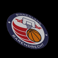 Basketball Barendrecht GIF by 4Consult / Binnenland