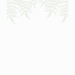 Poke Bar France GIF
