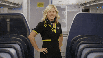 Spirit Airlines GIF