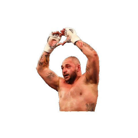 Mitrea Sticker by Absoluto