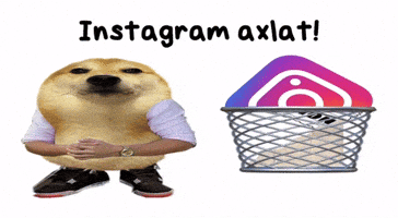 Instagram Mem GIF