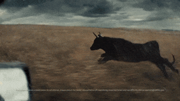 Build Trucks GIF by Ford