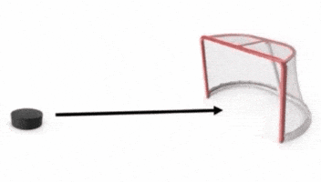 Hockey Nhl GIF