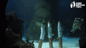 Sea Turtle Manchester GIF by Keep Britain Tidy