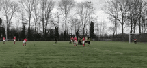 sv DSO GIF