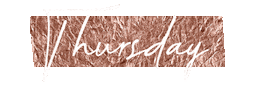 Day Friday Sticker by Ana Steinberg Designs