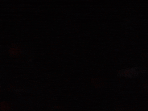 From The Ashes Gifs Get The Best Gif On Giphy