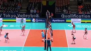 GIF by CEV - European Volleyball
