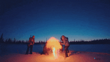 Climate Crisis Co2 GIF by Oceanic Preservation Society