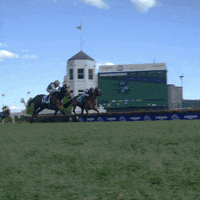 Ascot Racecourse Gif Find Share On Giphy Ascot Racecourse Gif Find Share On Giphy