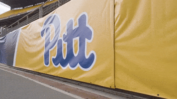pittpanthers football college football pittsburgh panthers GIF