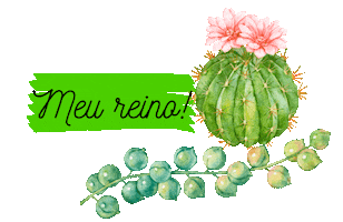 Berçário das Suculentas Sticker