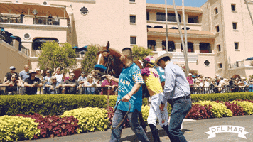 Horse Racing GIF by Del Mar Racing