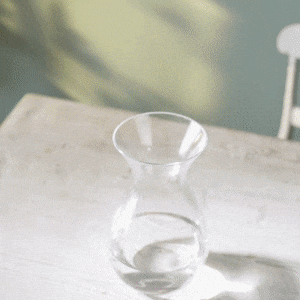 giphy.gif?cid=ecf05e478m1wxvxlz8w3silgob