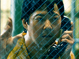 Mr Chow The Hangover 3 GIF