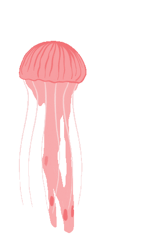 Pink Jellyfish Sticker by criswiegandt