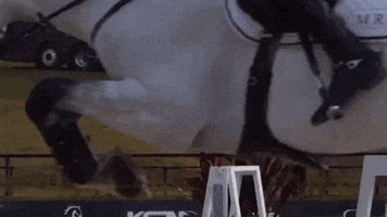 Doda Training Center GIF