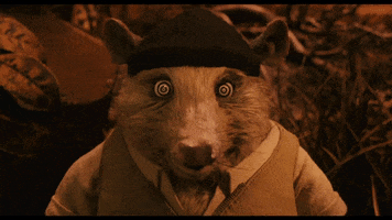 Wes Anderson Wow GIF by Searchlight Pictures