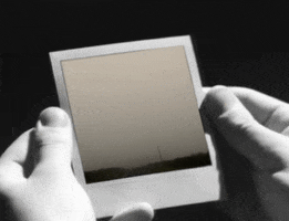 Road GIF