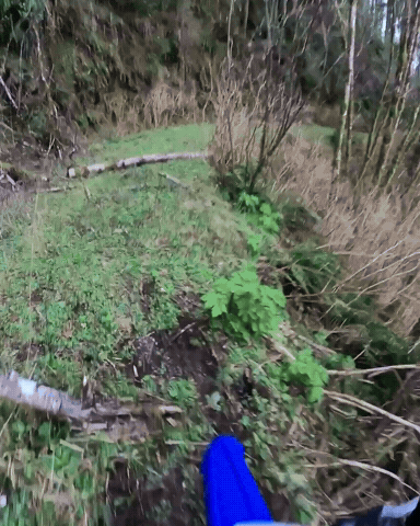 Scary GIF