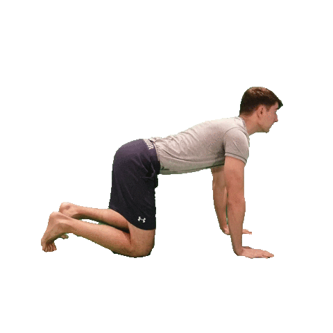 Startmobility Sticker by Bodevity