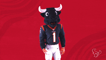 Nfl No GIF by Houston Texans